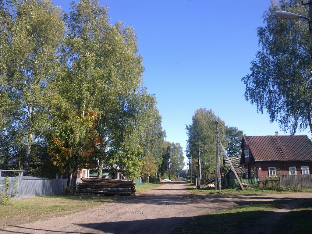Пестово, улица Мологская