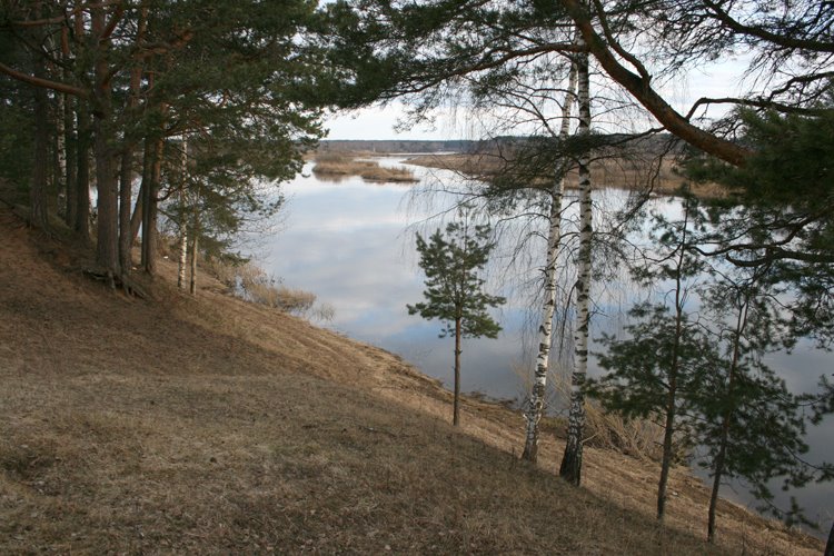 Mologa