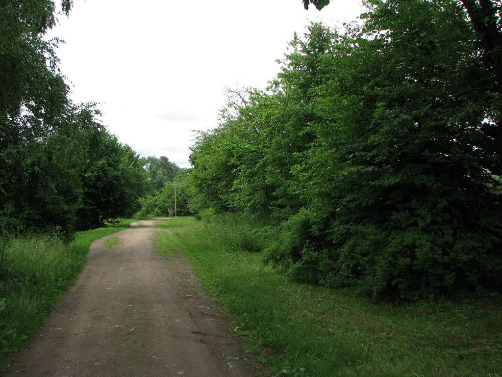 "Зеленая" улица