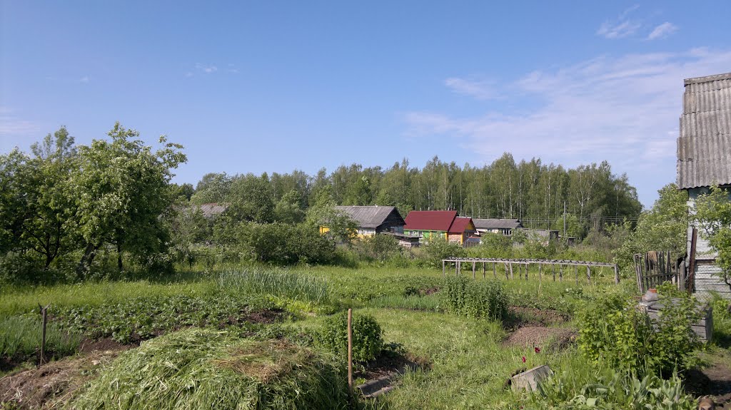 Вид в сторону парка