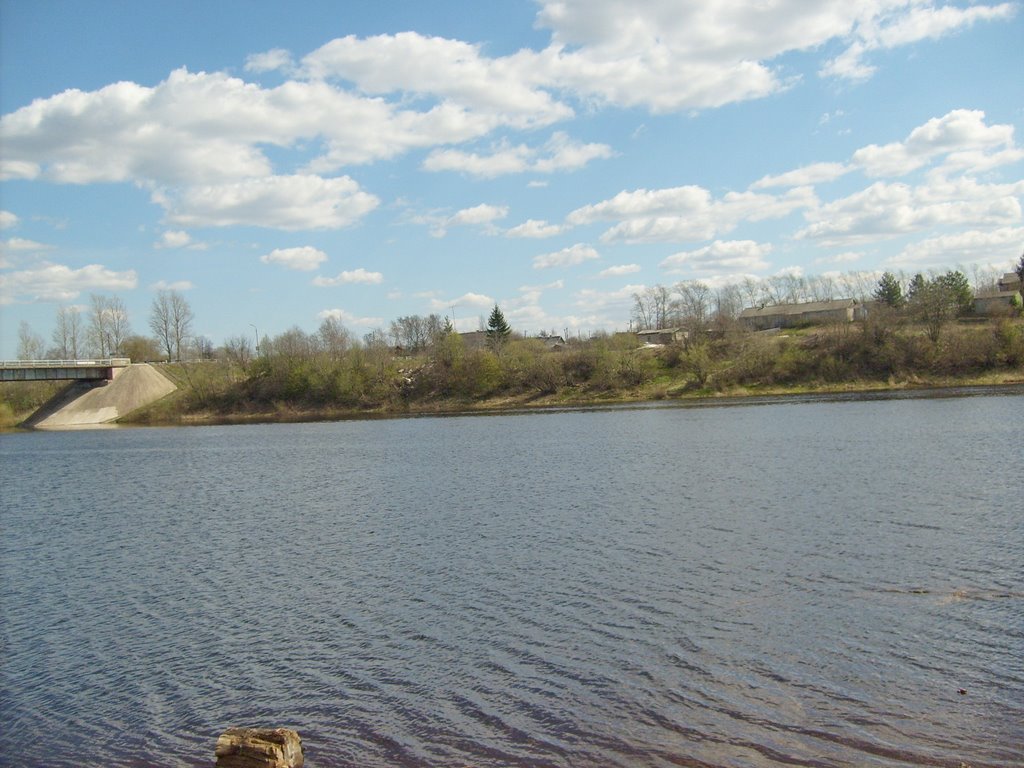 Сольцы, Шелонь (Soltsy. Shelon)