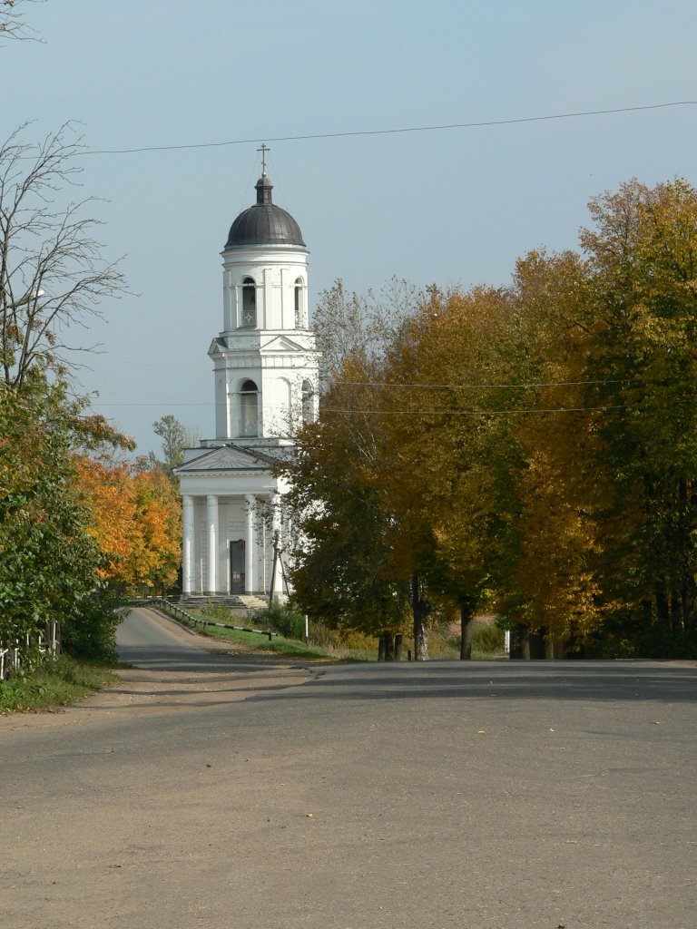Сольцы