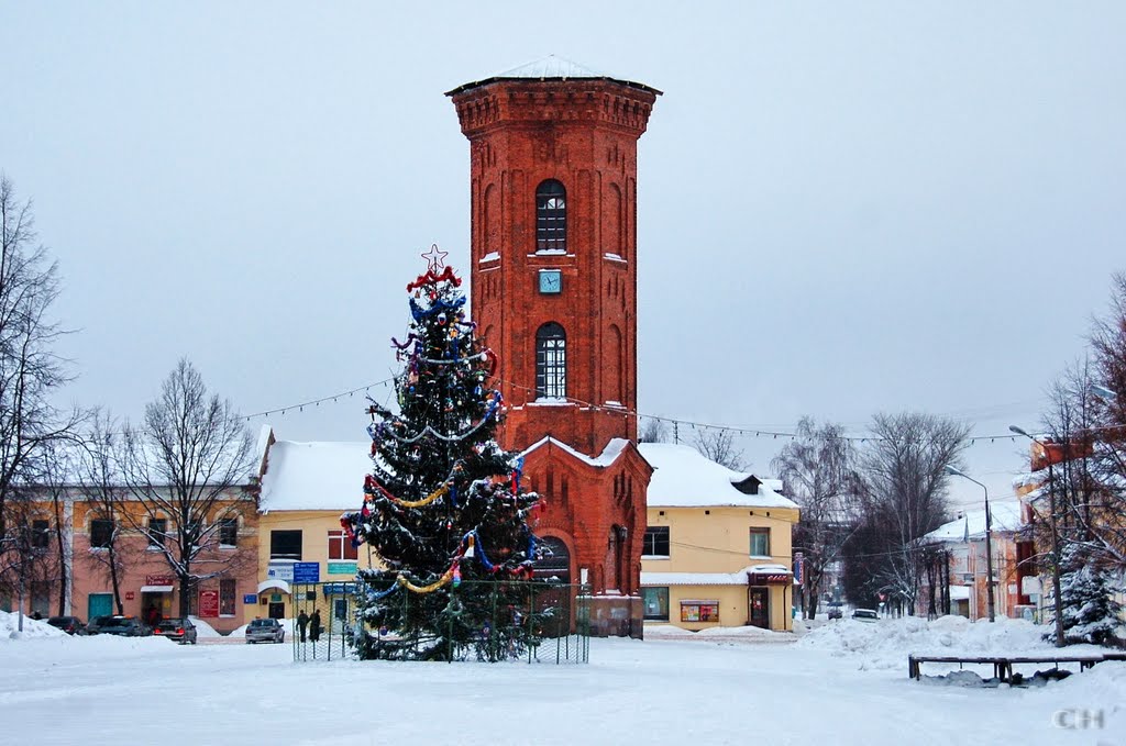 Старая Русса. Башня