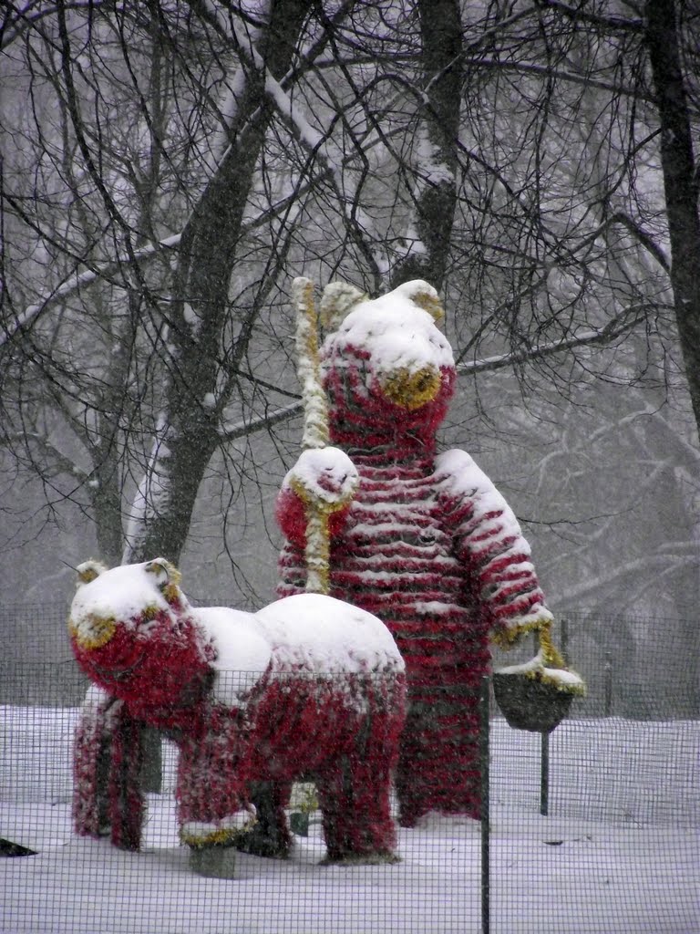 Снежные свиньи