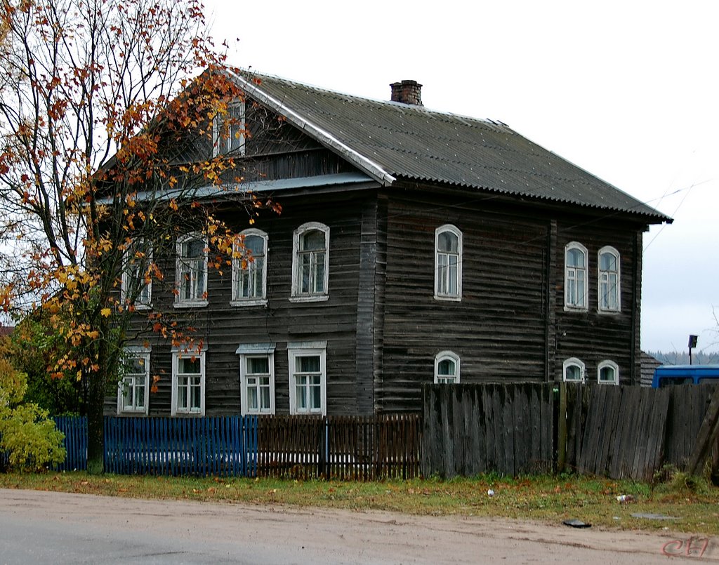 Крестцы. Дом