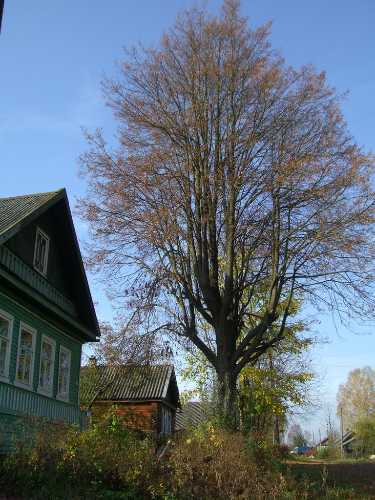 Улица Чапчахова