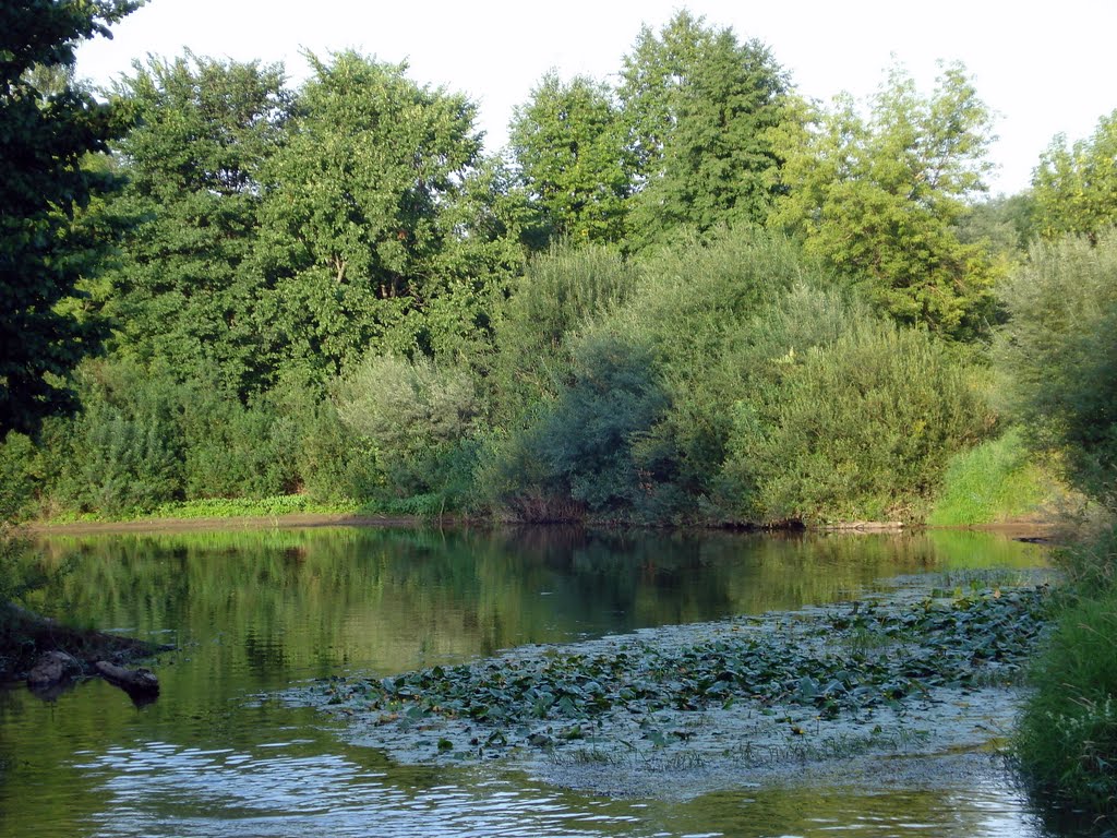 Река Холова / Kholova River