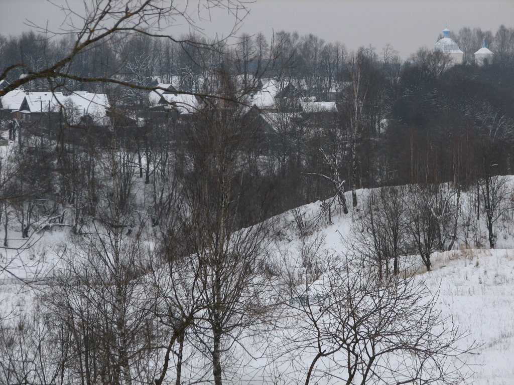 Холм, зима 2007 (Kind on other party of the Lovat river )