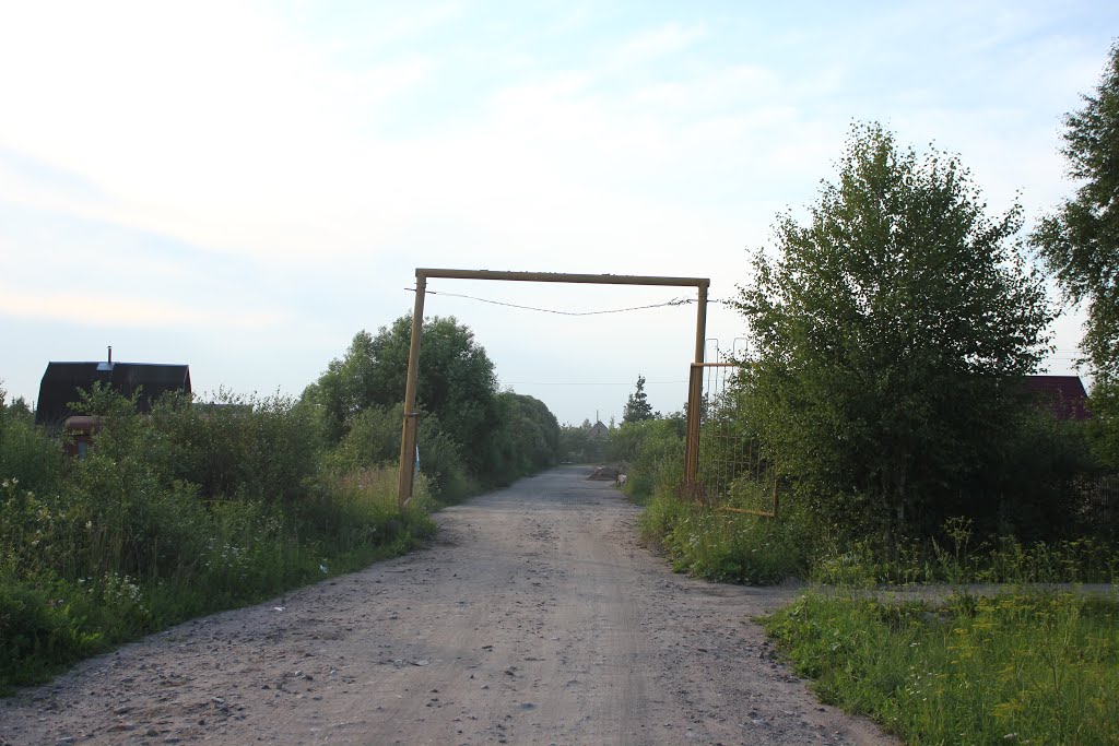 Старый сад