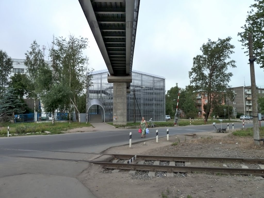 Krasnofarfornyy