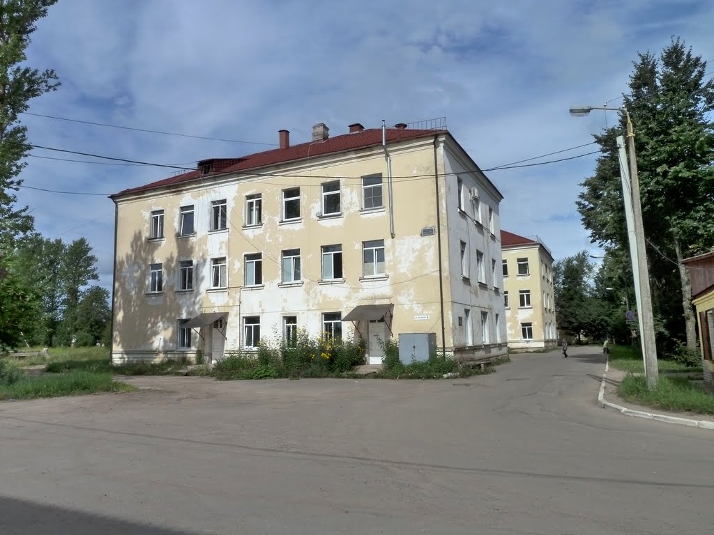 Чудовская центральная районная больница