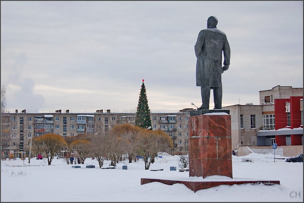 Чудово. Ленин и ель новогодняя