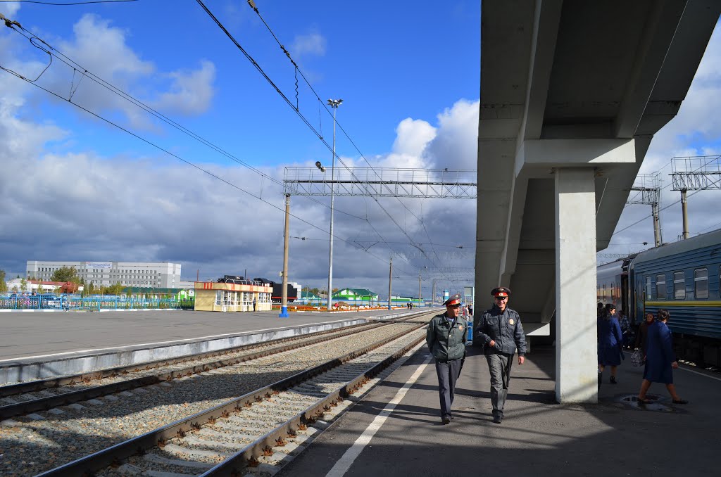 Barabinsk station (Барабинск вокзала)