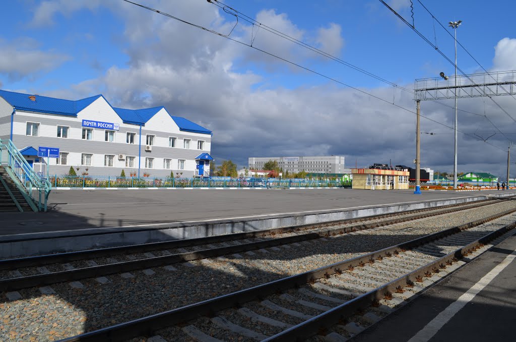 Barabinsk station (Барабинск вокзала)