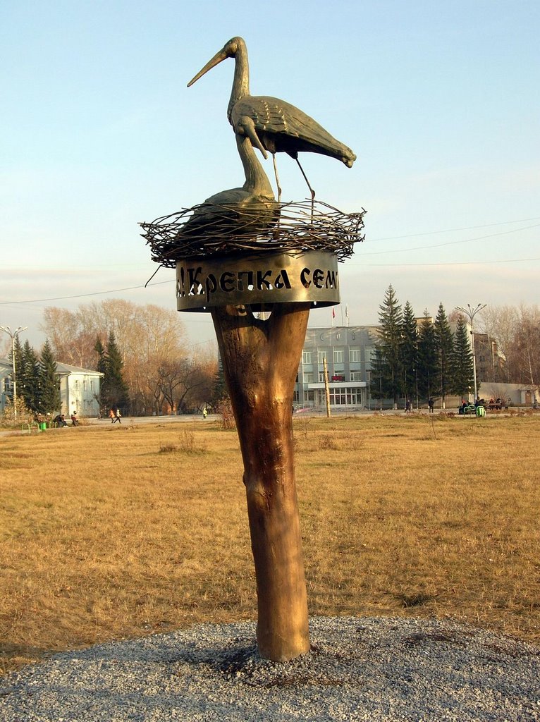 Bronze Storks
