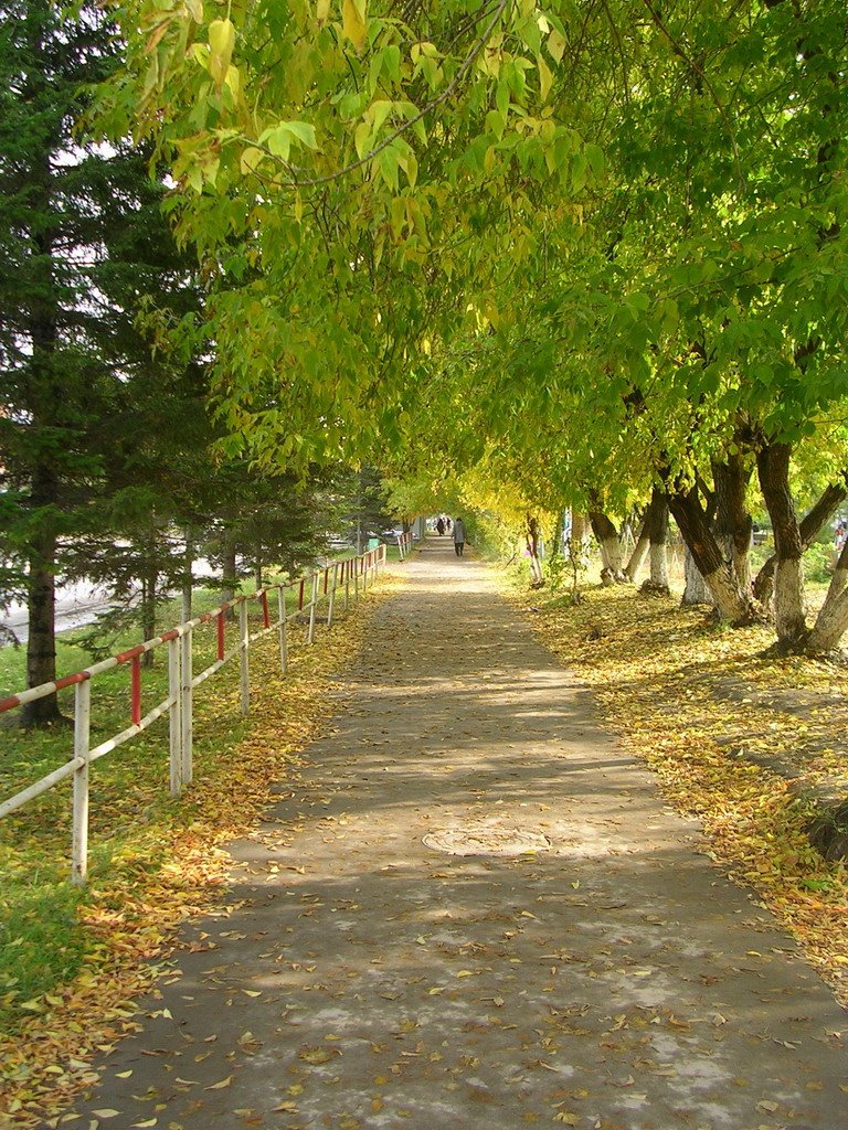 Russia, Novosibirsk Region, Berdsk, Fall/ Россия, Новосибирская область, Бердск, Листопад