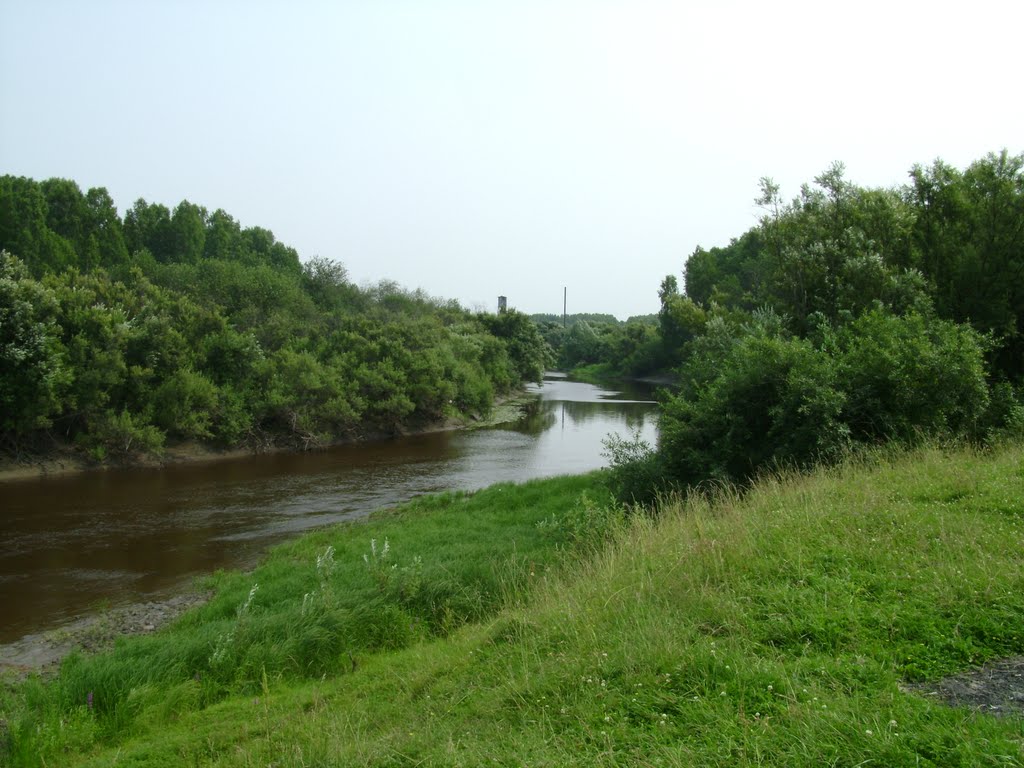 река Тартас (За маслозаводом)