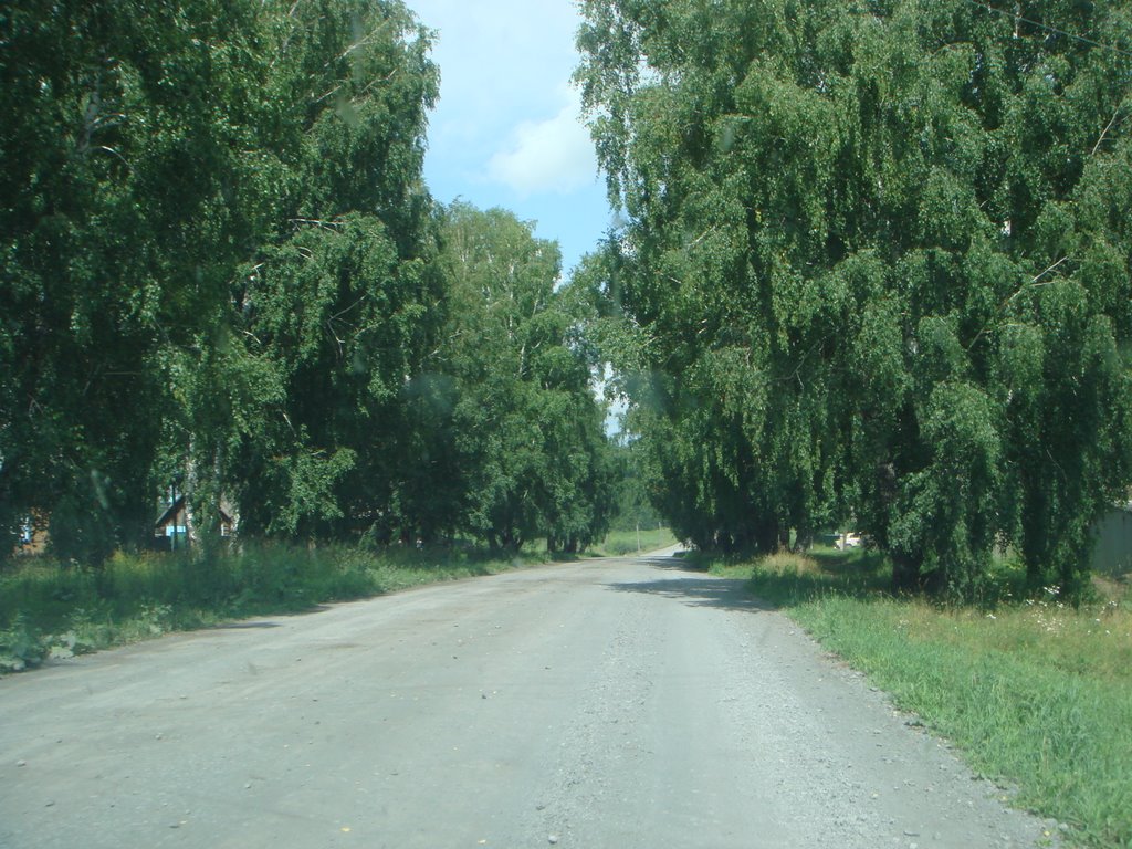 Оазис