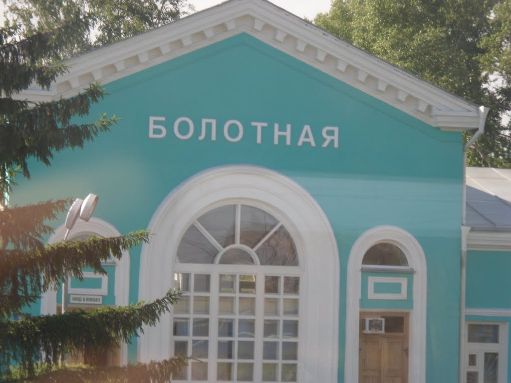 Станция Болотная