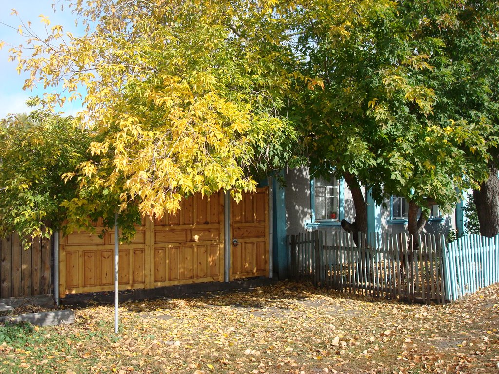 Maple on Mehanizatorov Street
