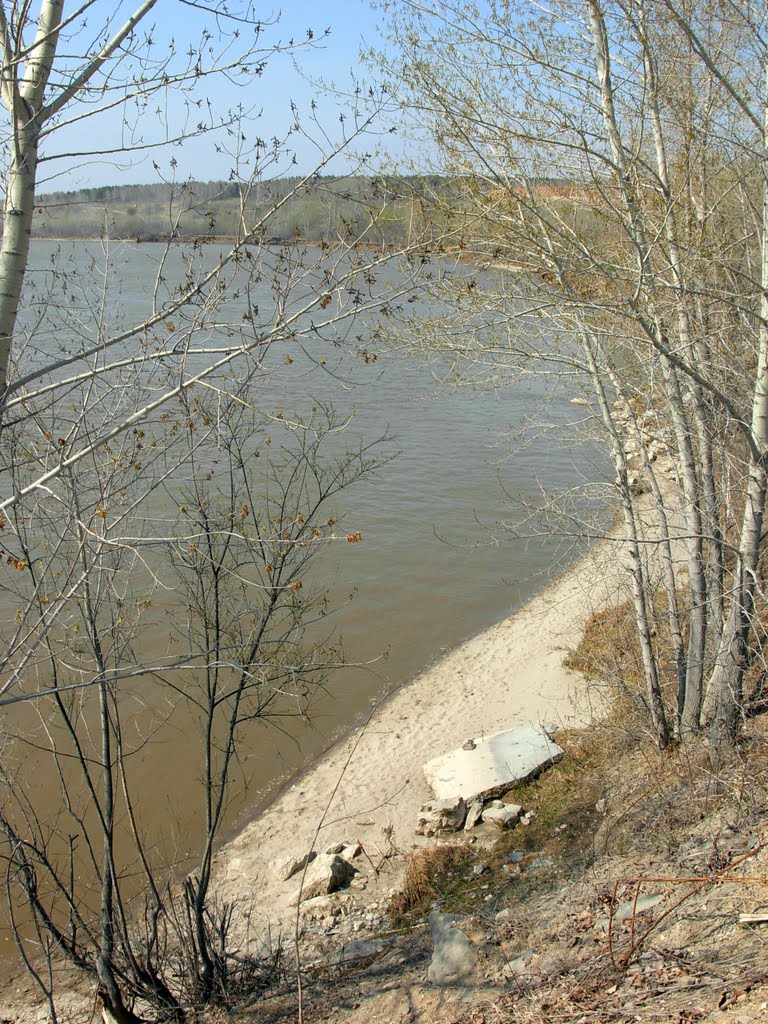 р. Бердь вдоль правого берега, май 2010