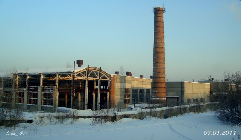 7 января 2011