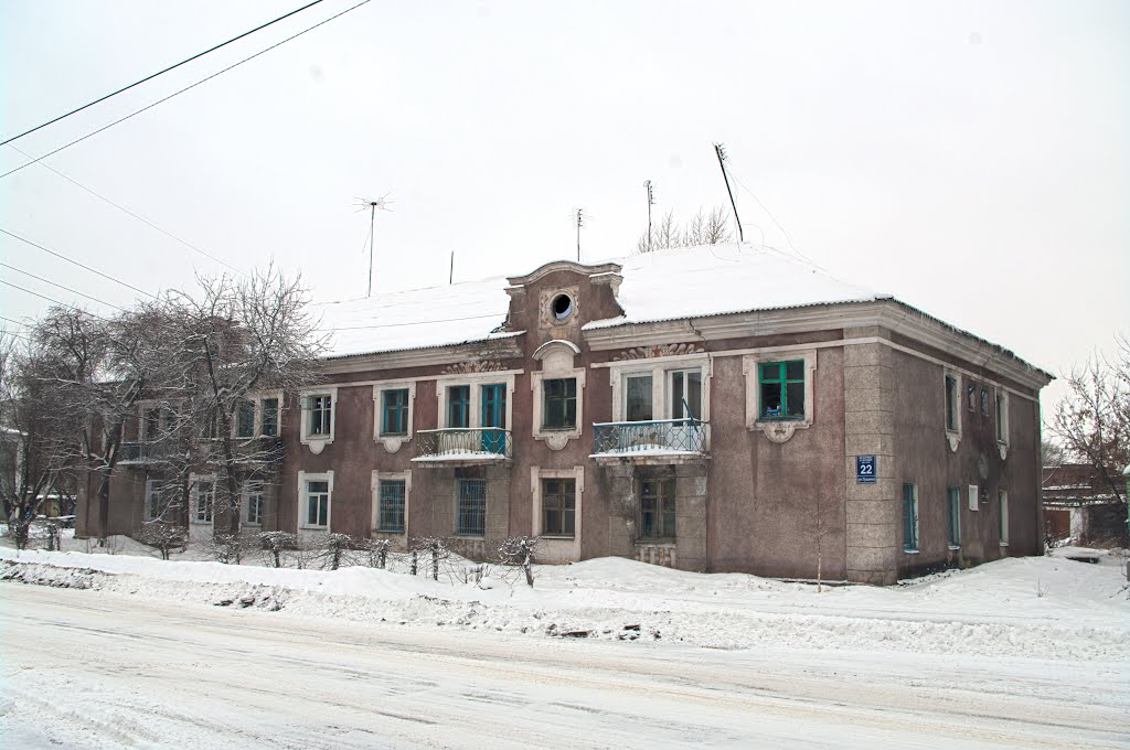 Пушкина 22