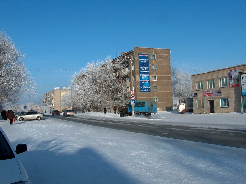 Ул.Тургенева г.Карасук