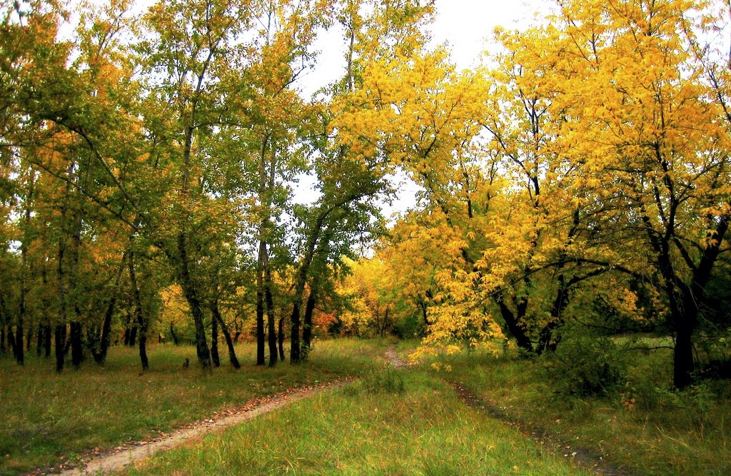 Карасук. Парк. Сентябрь.