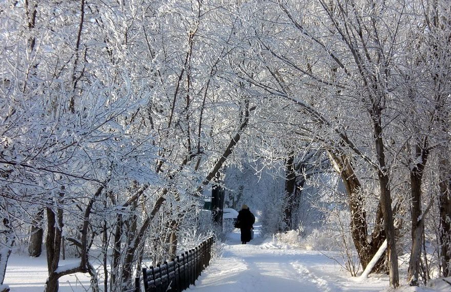 Переулок Совхозный