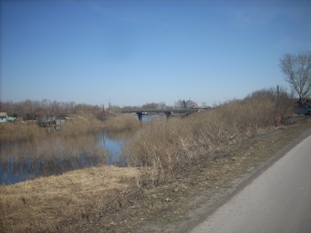 Река Каргат