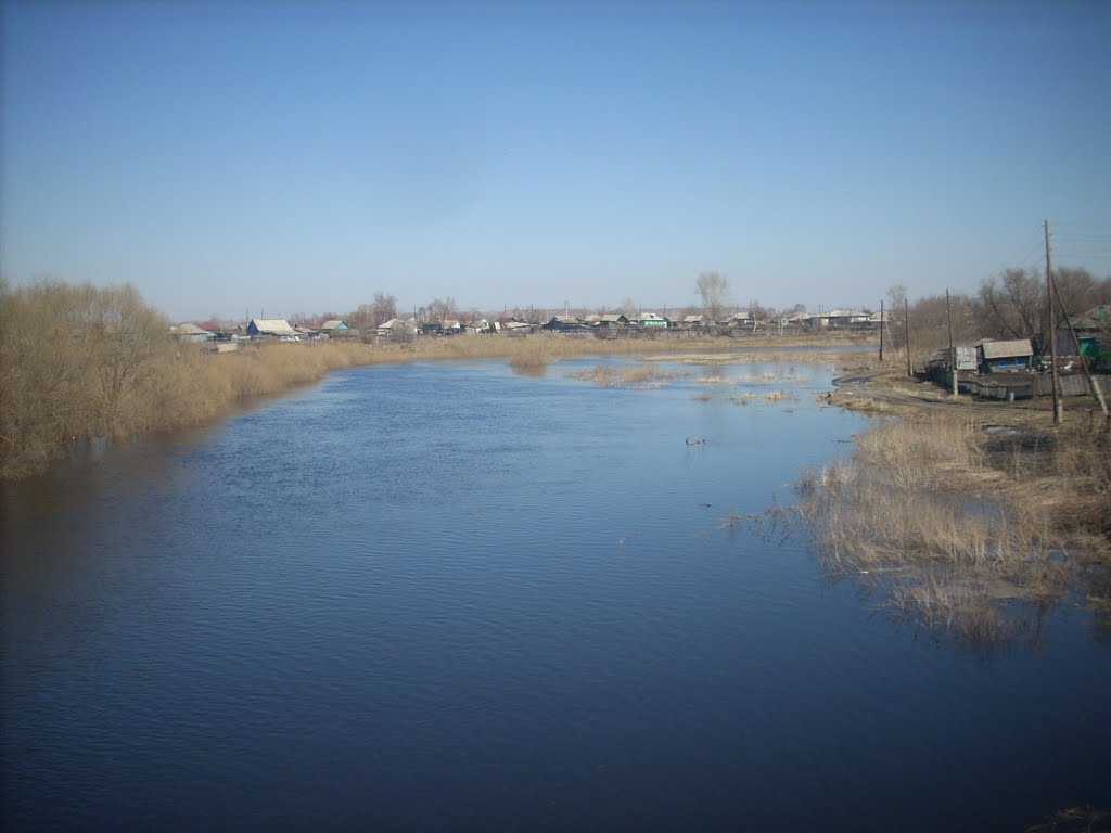 Река Каргат