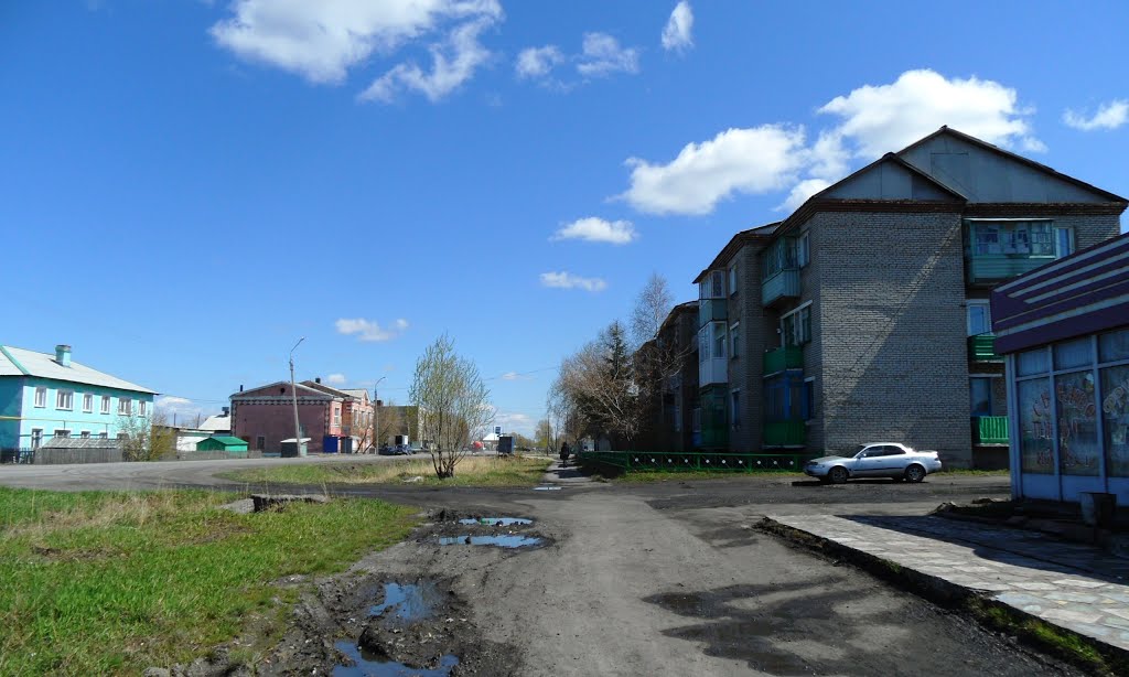 ул.Советская 233