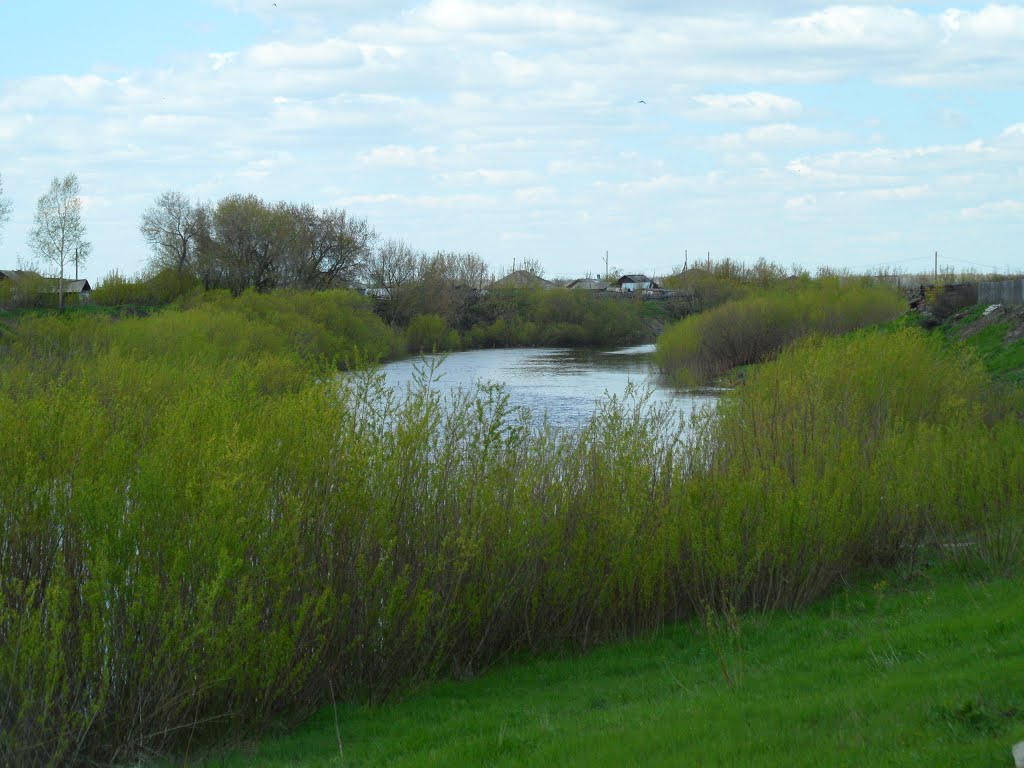 река Каргат
