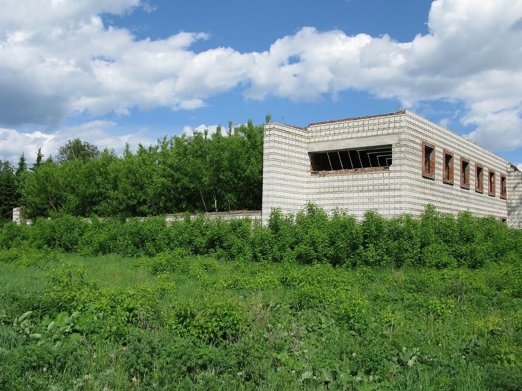 Руины