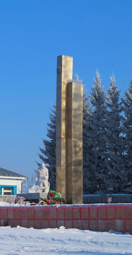 Новосибирская обл., рп Колывань. Стелла