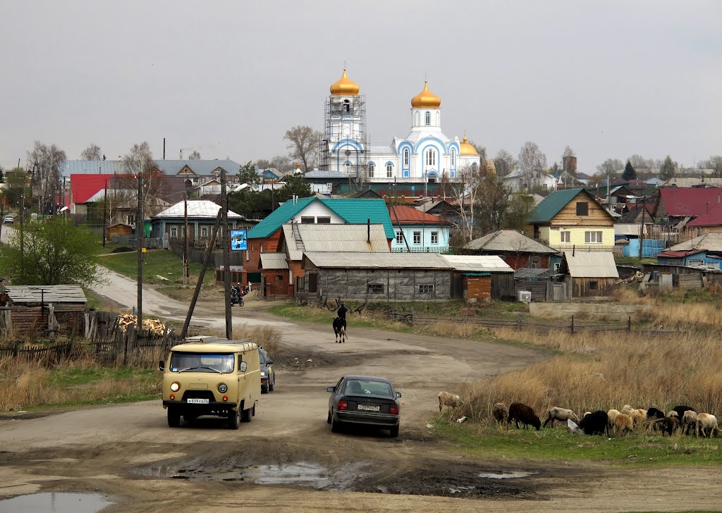 Колывань. Вид на Собор Александра Невского с Бол. Оёша