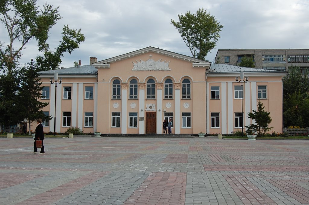 Куйбышев, Школа искусств 2008г.