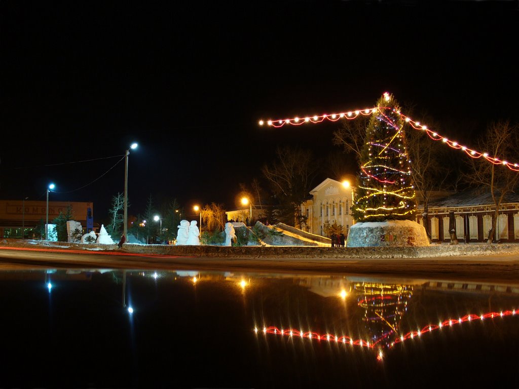 Центр. Ёлка. янв 2007