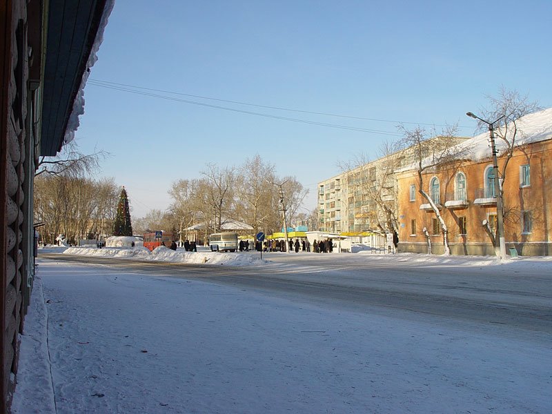г.Куйбышев, центр, городская ёлка.