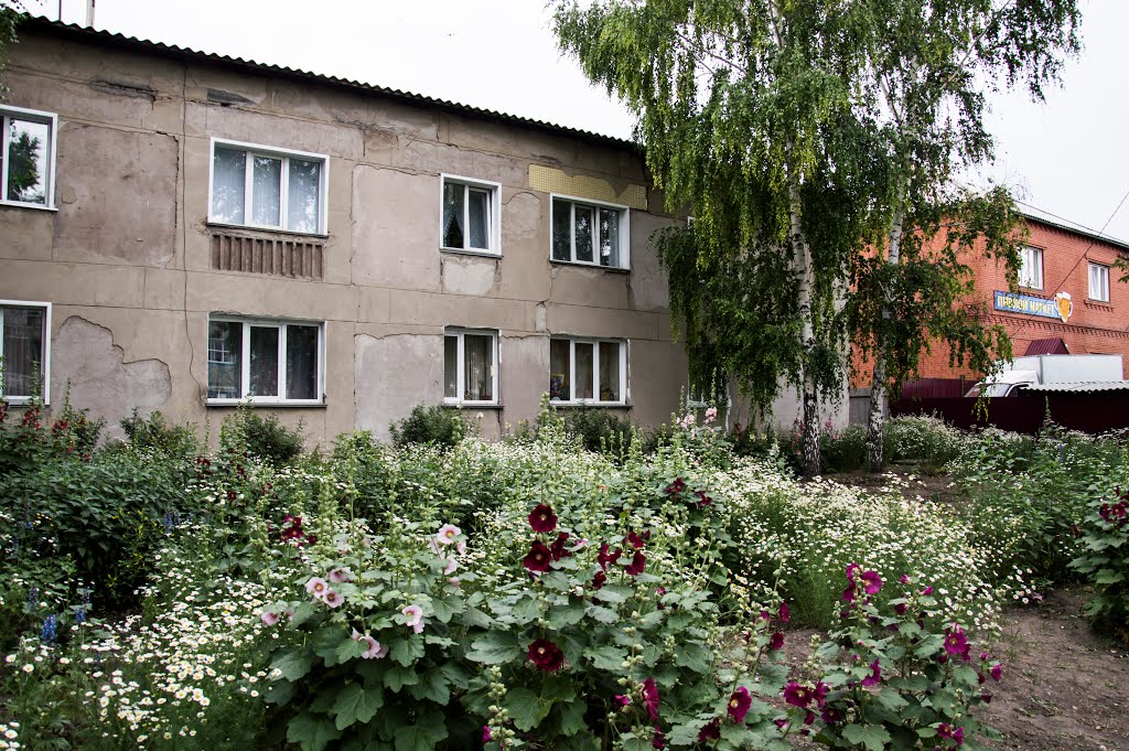 Улица Советов.