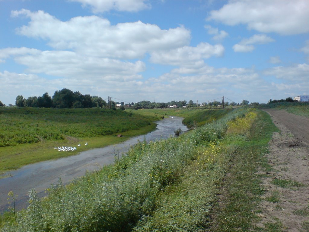 Берег реки Карасук