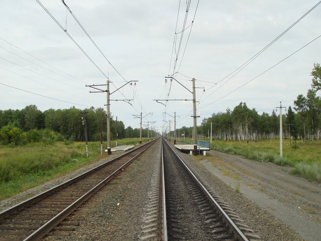 Транссиб, о.п. 3149 км. Вид на запад