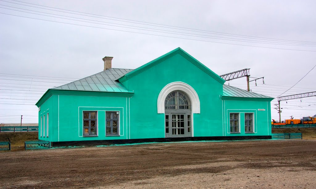 Станция Панкрушиха, вид с привокзальной площадки