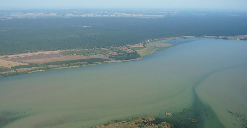 На границе Алтайского края и Новосибирской области
