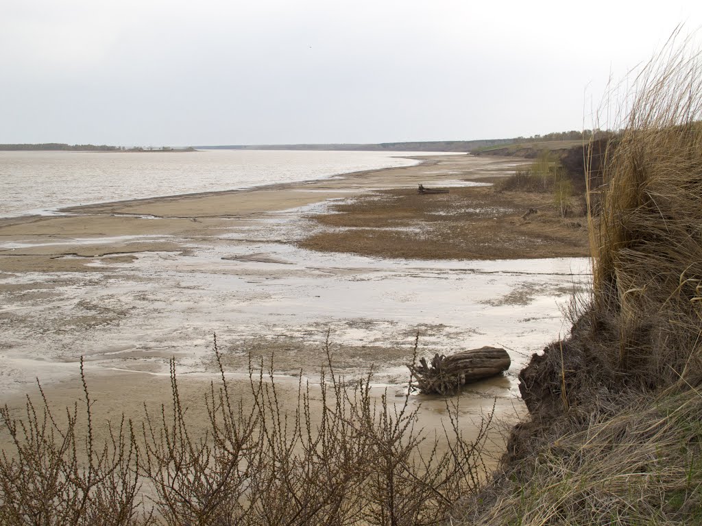 НСО, Ордынский р-он. Море Обское. Панорама