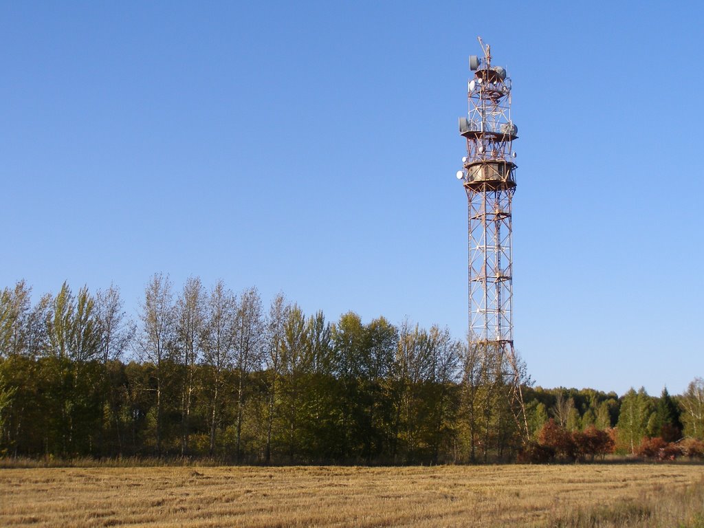 Мошково. передающая вышка. сентябрь 2009г.
