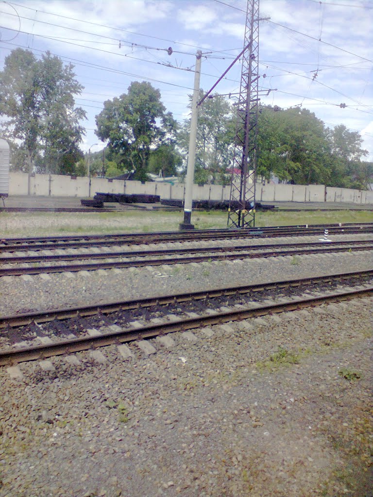 СТ.-Мошково.