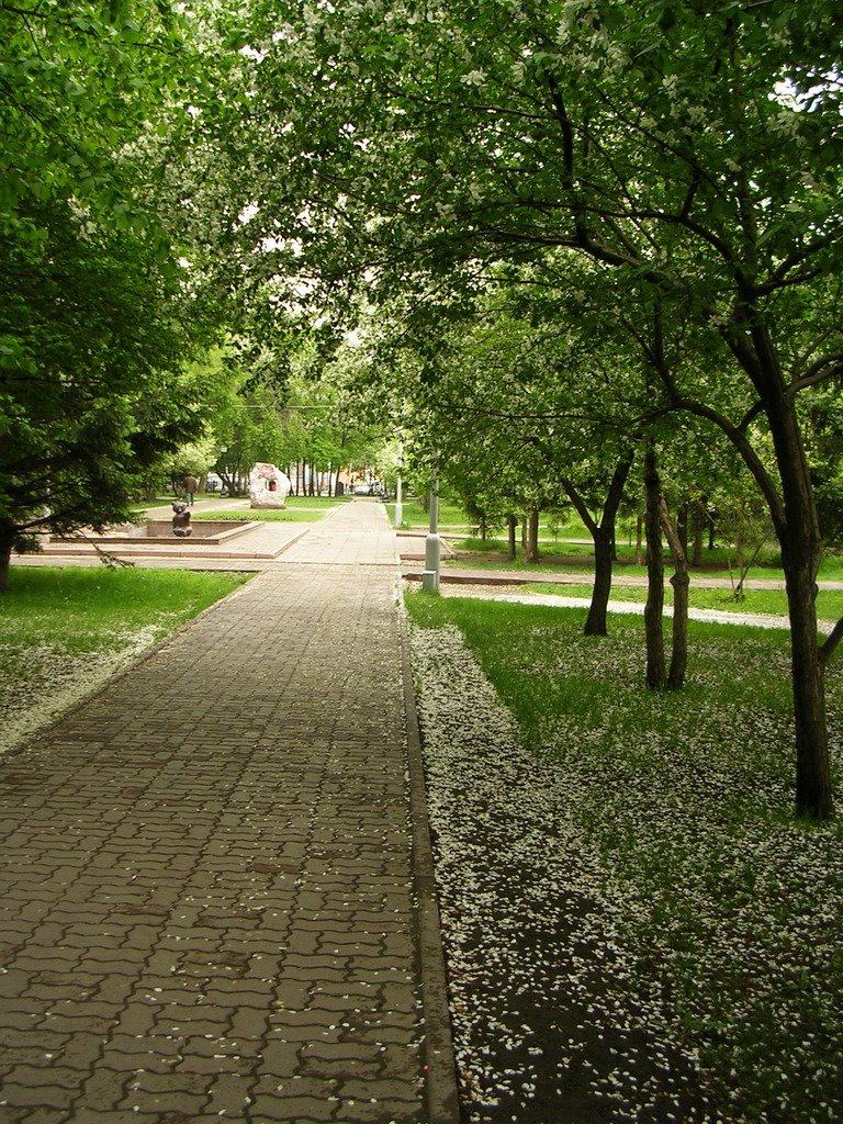 [Russia, Novosibirsk,Spring, Pervomaisky Skver /Россия, Новосибирск, Весна, Первомайский сквер]