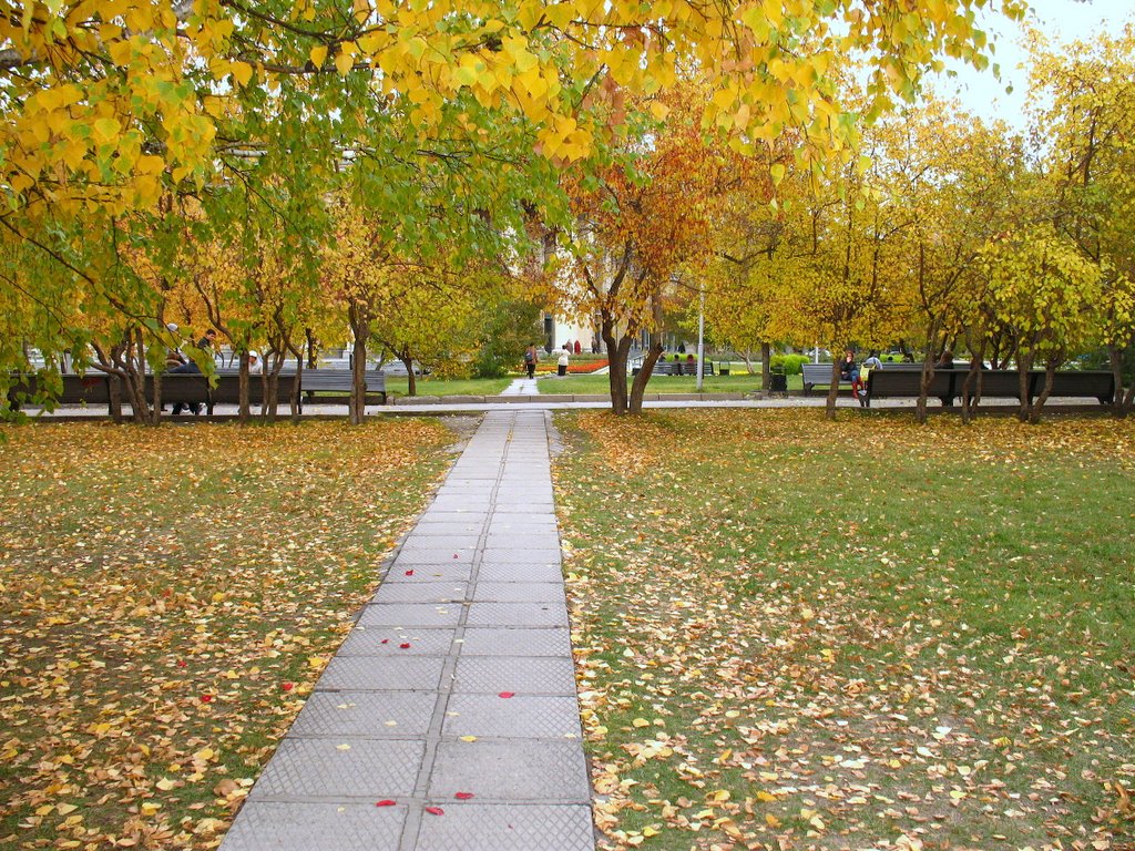 Novosibirsk, Autumn